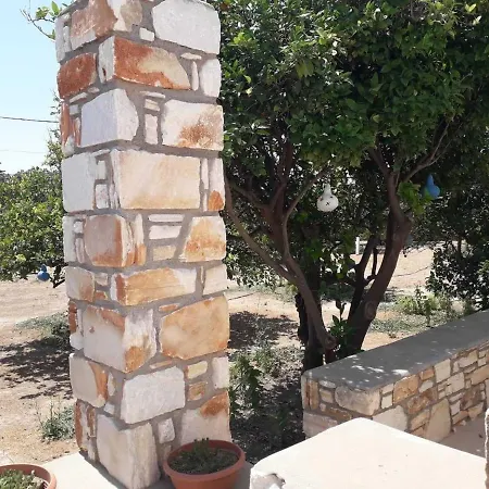 Flora Apartament Drios