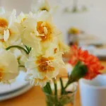 Flora Апартаменты