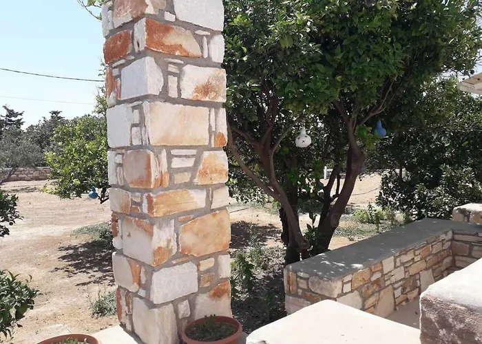 Flora Apartment Drios